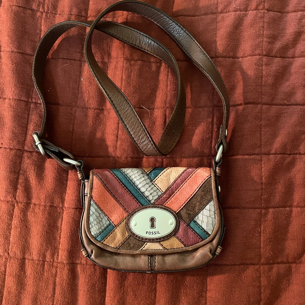 Colorful Fossil purse